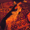 DSCN2479.JPG