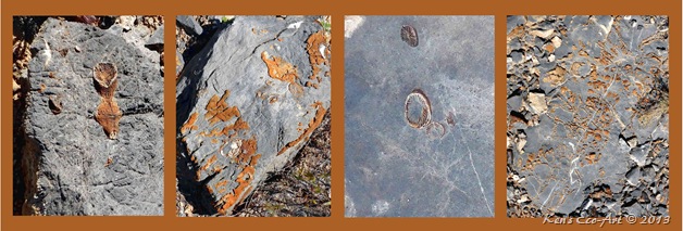 Fossils 02 Fossils 02