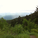 IMG_0386.JPG