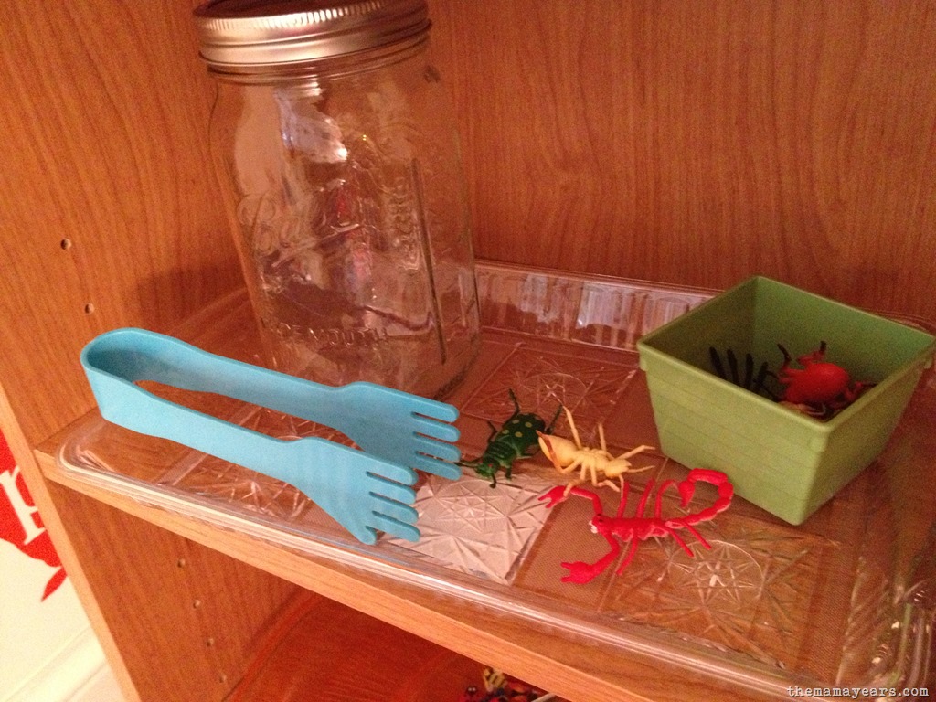 [5.13.13-tot-school-bugs83.jpg]