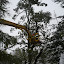 P1010095.JPG