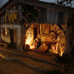 1586-3.jpg