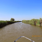 IMG_5653.JPG