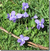IMG_3748 IMG_3748