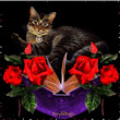 Mystic Cats