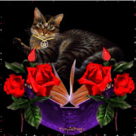 Pagan Cat