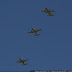 DSC08786.JPG