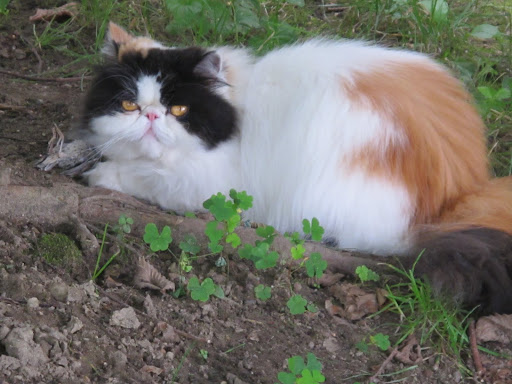 Hey, what are you looking at?