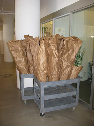 Here it is arriving at the MSL offices for me to approve.