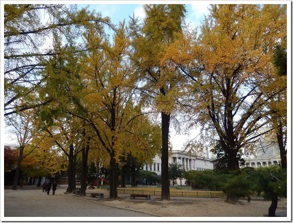 2013年首爾之旅_Day4_25