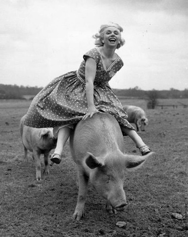 [viral-picdump-pics-a56013%255B2%255D.jpg]