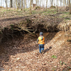 singold-bote_waldlehrpfad-schwabegg_009.jpg