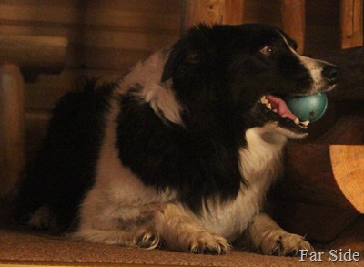 Blue Ball Blue Ball