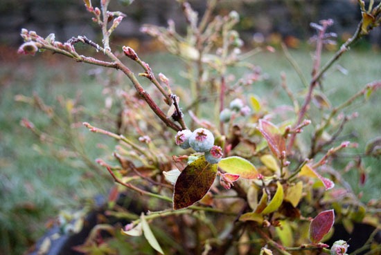 [DSC_2340%255B4%255D.jpg]
