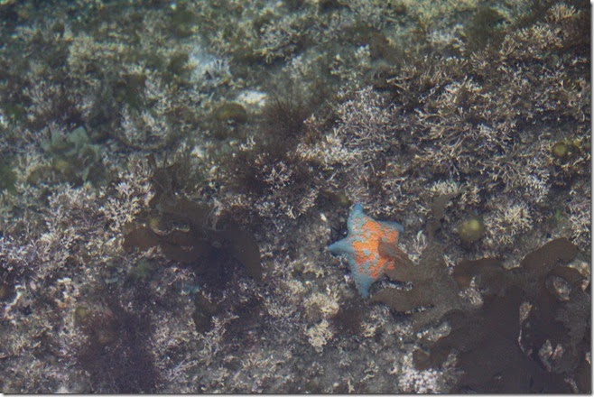 IMG_4083 IMG_4083