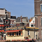DSC_7008.jpg