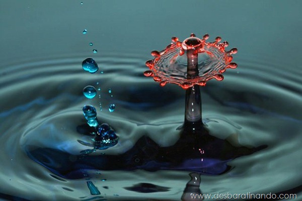 liquid-drop-art-gotas-caindo-foto-velocidade-hora-certa-desbaratinando (55)