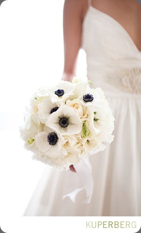 AlishaJonathan_0212 kuperberg photography AlishaJonathan_0212 kuperberg photography