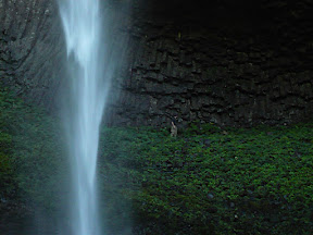 P1020013.JPG