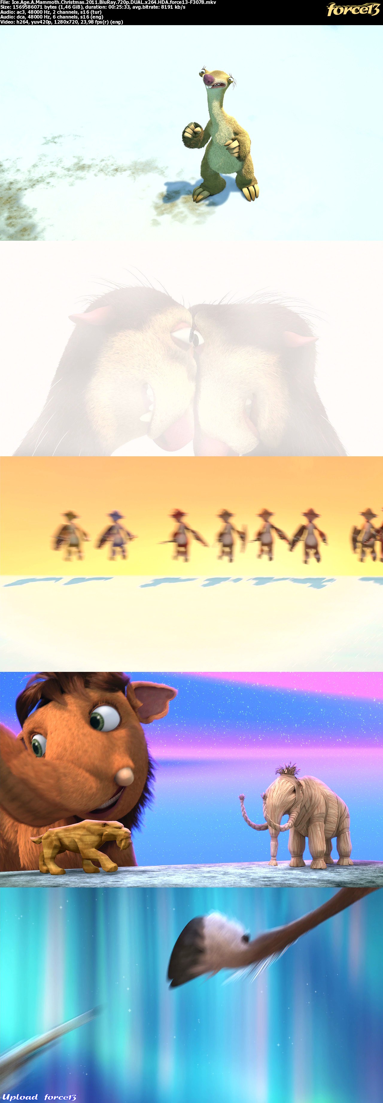 img141cf0d2b88221b0250c491f7796e5e5.jpg