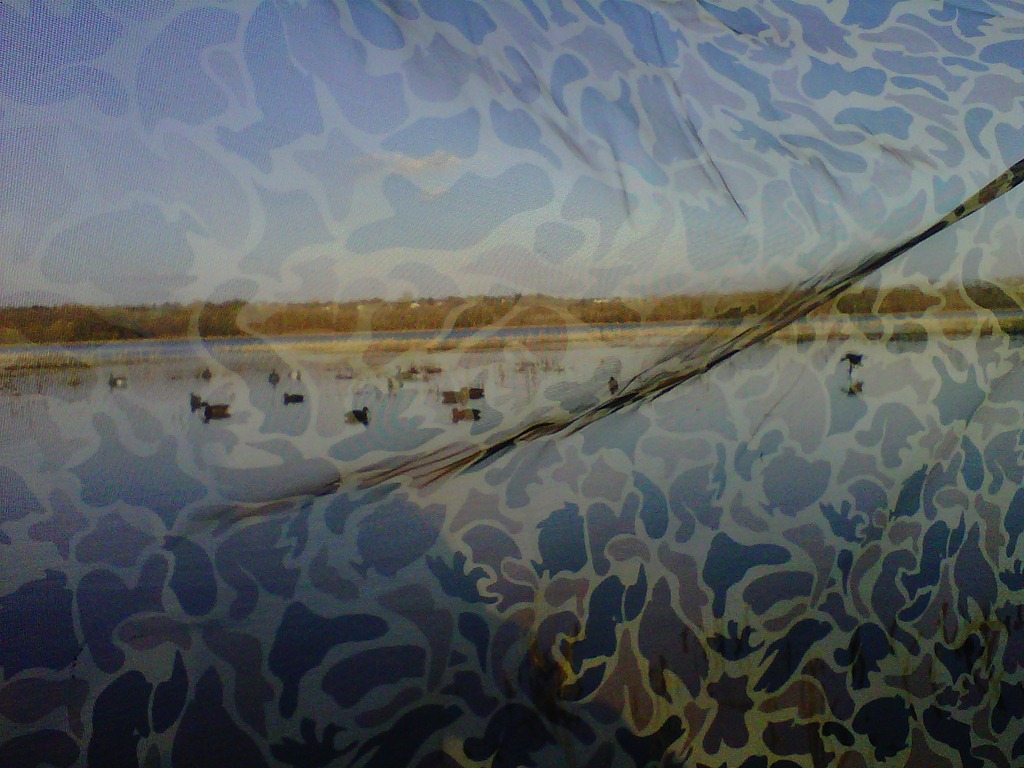 [IMG00305-20111106-1521%255B3%255D.jpg]