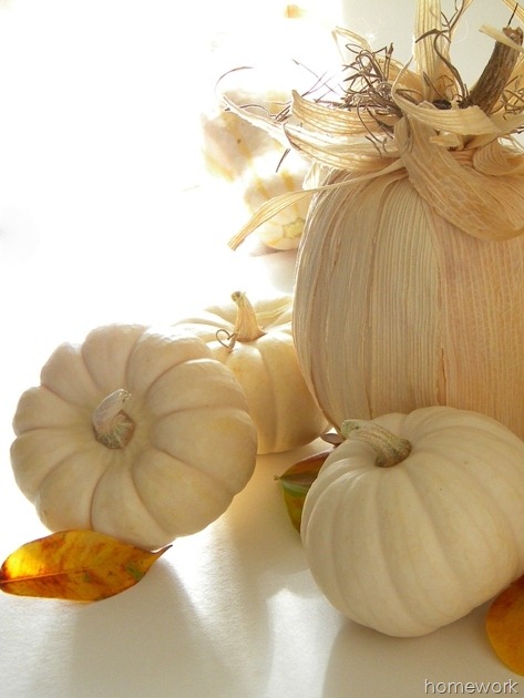 [Cornhusk-Pumpkin-613.jpg]