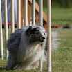 IMG_9826.JPG
