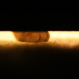 IMG_5664.JPG