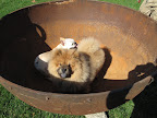 Hey - what's going on here?