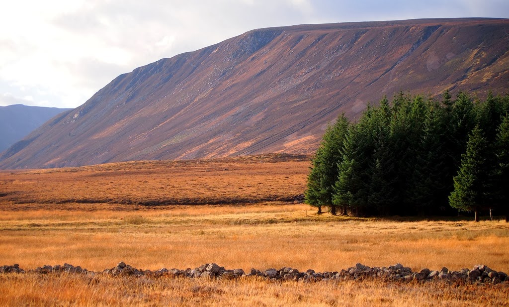 [19%2520Nov%25209%255B3%255D.jpg]