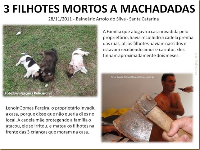 filhotes_mortos_machadadas