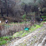 P2220012.JPG