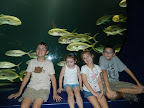 DSCN4010.JPG