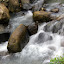 A Rushing Stream At The Spice Plantation - St. George's, Grenada