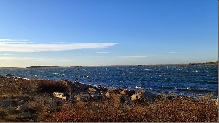 PC011456 PC011456