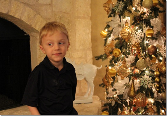 christmas tree and reid christmas tree and reid