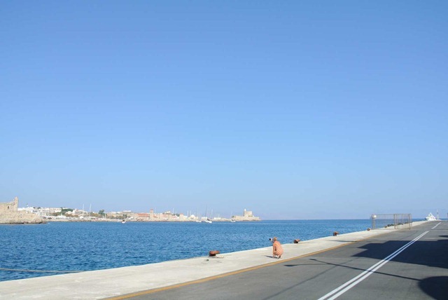 DSC_0802 DSC_0802