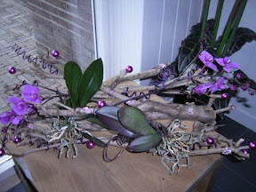 RIMG0015.JPG