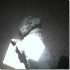 2012.06.08 Sun