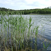 dsc02880.jpg