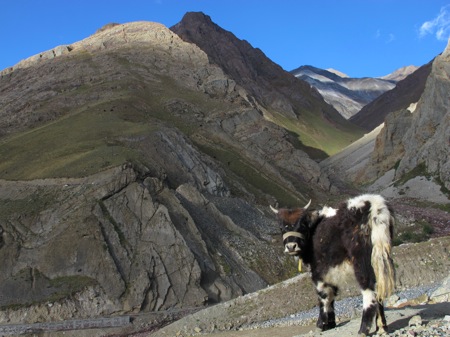  Day 07: Mud   Kaza   Losar