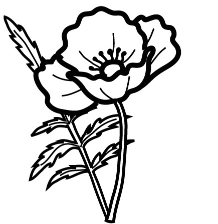 POPPY COLORING PAGES