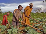 Madame Edith Kizito et ses deux enfants au champ en Uganda. legrandjournal.com.mx Madame Edith Kizito et ses deux enfants au champ en Uganda. legrandjournal.com.mx