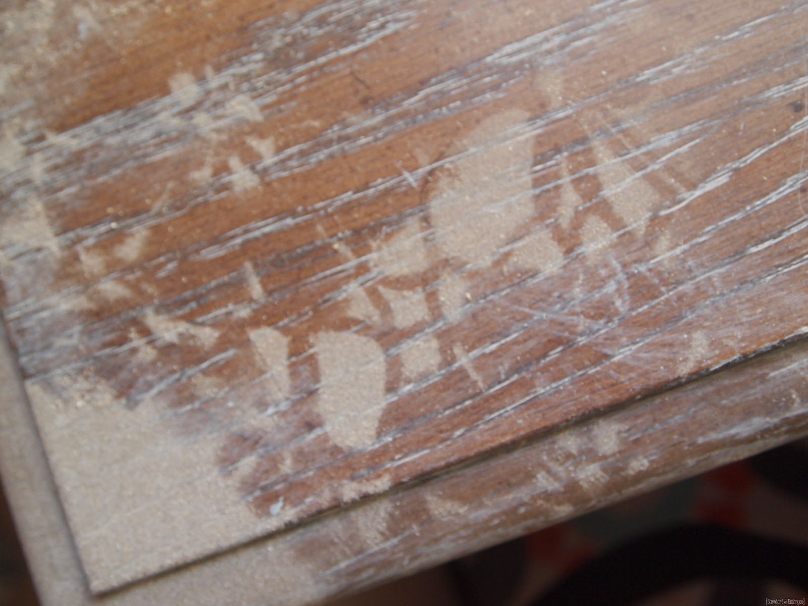 [P9292508%255B4%255D.jpg]