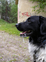 DSCN0398.JPG
