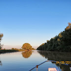 IMG_5781.JPG