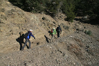 IMG_5245.JPG Photo