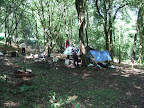 Forest dwellers