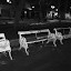 100_1890_DXO.jpg