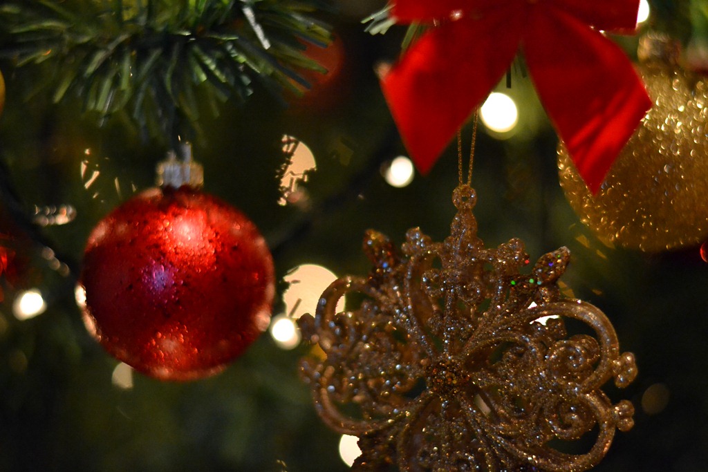 [DSC_0069%255B5%255D.jpg]